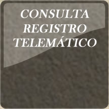 Consulta Registro Telematico