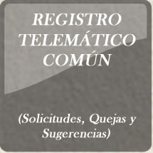 Registro Telematico comun